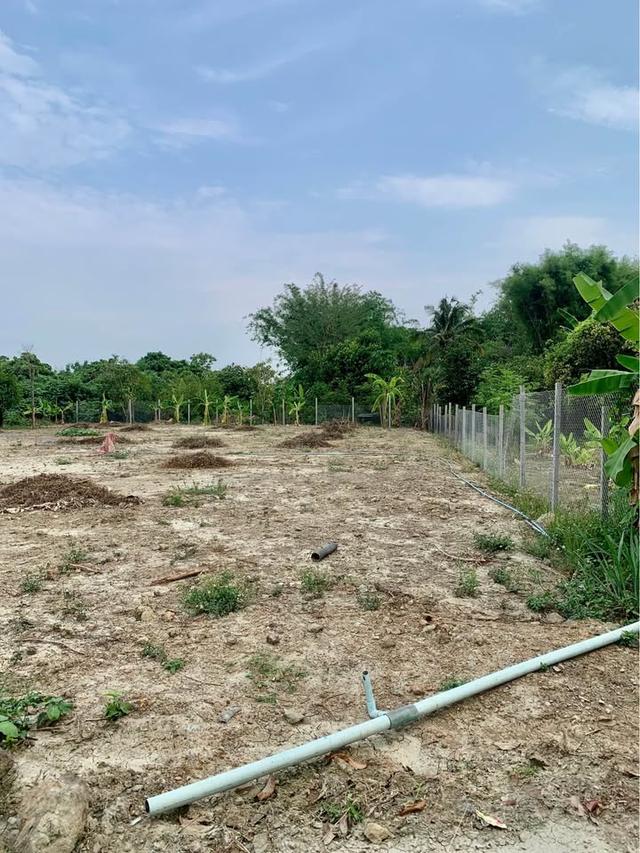 ขายที่ดินเปล่าใกล้ตัวเมืองเชียงใหม่เดินทางเพียง 30 นาที บ้านล่ามจันทร์ ต.น้ำแพร่ อ.หางดง จ.เชียงใหม่ ราคา 5,400,000 บาท 2