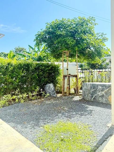 ถ. รอบเมืองเชียงใหม่ 5นอน รร.สารภีพิทยาคม 2.5 กม. ให้เช่าบ้านเดี่ยว 2 ชั้น จัดเต็มเฟอร์ฯ เครื่องใช้ไฟฟ้า 3 น้ำ 100 ตร.วา 6