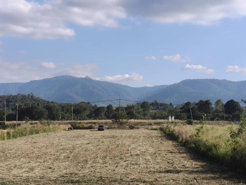 ขายที่ดินเขาใหญ่ หมูสี ที่ติดเขา วิวอุทยานแห่งชาติเขาใหญ่ชัดสวยมาก ท่าช้าง ใกล้ถนนธนะรัชต์ ใกล้เส้น 3052 เดินทางสะดวก ติดลาดยาง ใกล้ร้านค้าตลาด ที่สวย 6