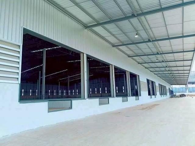 ให้เช่าโรงงานศรีราชาชลบุรี โรงงานเช่าชลบุรี ผังม่วงลาย พื้นที่ 7,000, 14,000 ,20,000 ตารางเมตร 1