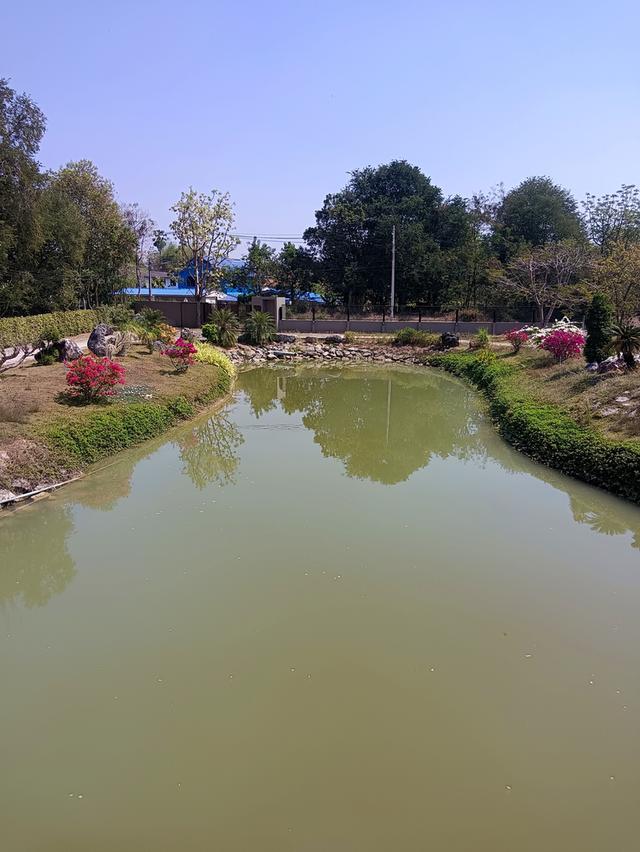 ขายที่ดินเนื้อที่ 9-1-52.4 ไร่ พร้อมสิ่งปลูกสร้าง ต.ทุ่งหลวง อ.ปากท่อ จ.ราชบุรี 8