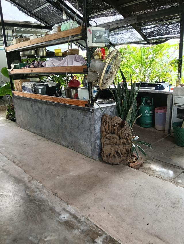 ที่ดินพร้อมโรงงาน+ห้องเย็น+โรงปลูกผักออแกนิค 11