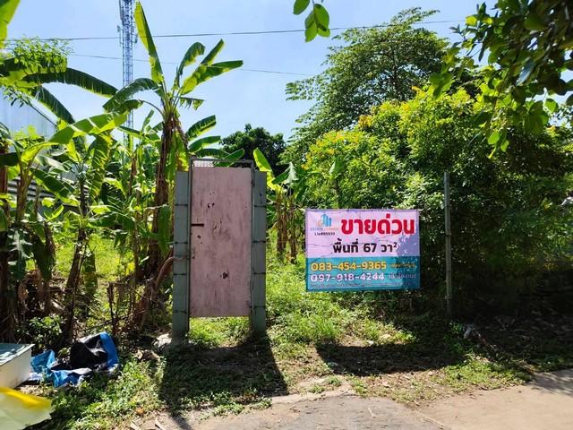 ขายที่ดิน 67 ตร.ว. ติดน้ำ ใกล้สนามบินสุวรรณภูมิ แถวลาดกระบัง พัฒนาชนบท 3 4