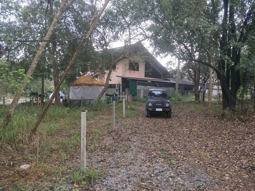 ที่ดิน มีโฉนด อ.ปากช่อว นครราชสีมา 3