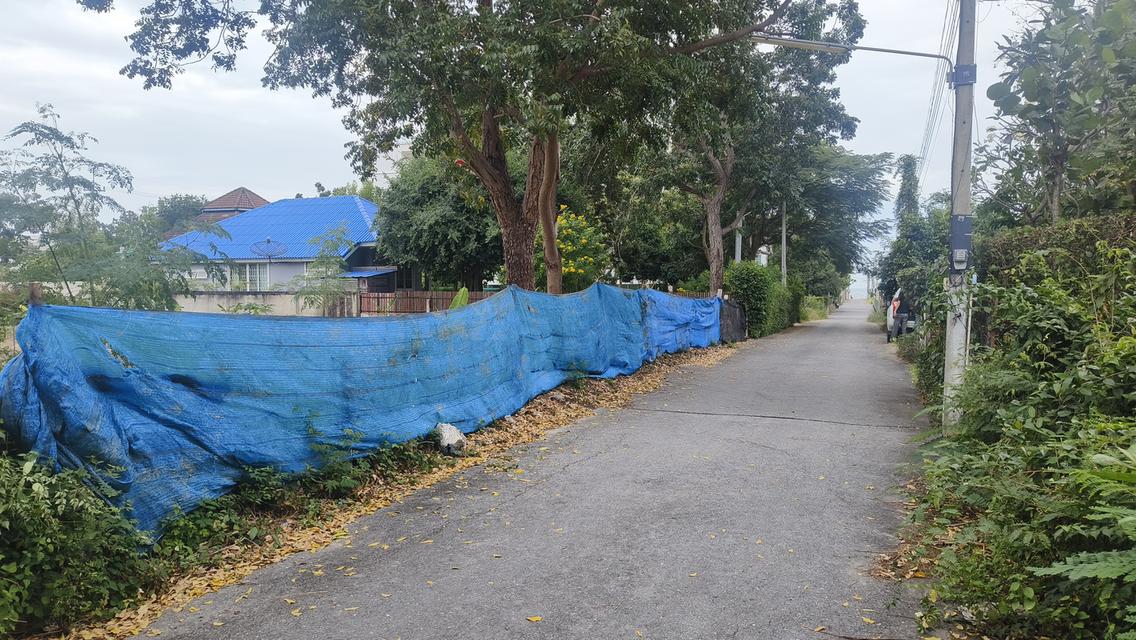 ขายถูก ที่ดินแปลงเล็ก หาดสุขเสมอ ชะอำ 6