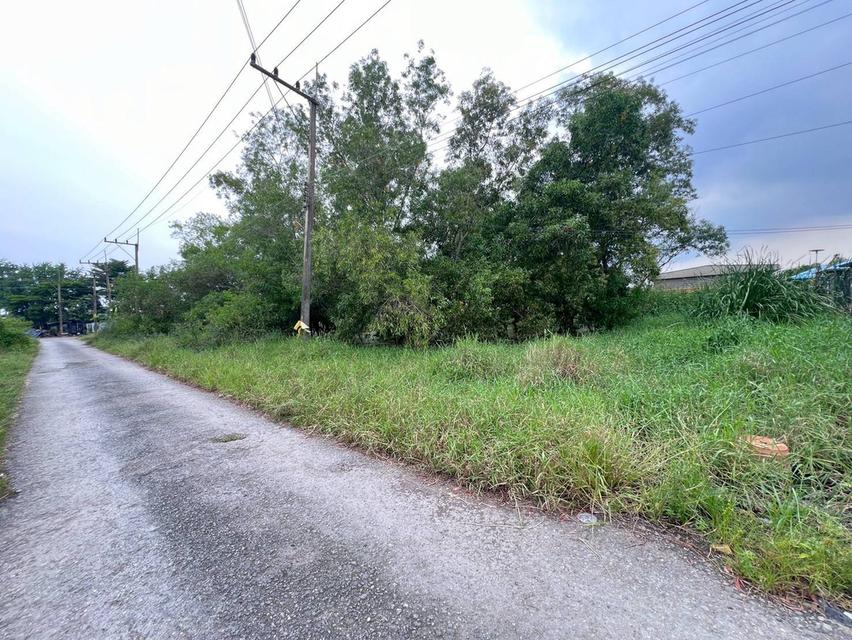 ขายที่ดินเปล่า ซอยคลองสี่10 ติดถนนคลองหลวง ใกล้องค์การบริหารส่วนตำบลคลองสี่ 2
