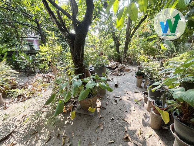 ขายที่ดิน ติดถนนหน้ากว้างถึง 8 เมตร รถยนต์เข้า-ออกสะดวก สามารถขับสวนกันได้สบาย ไม่แออัด 6