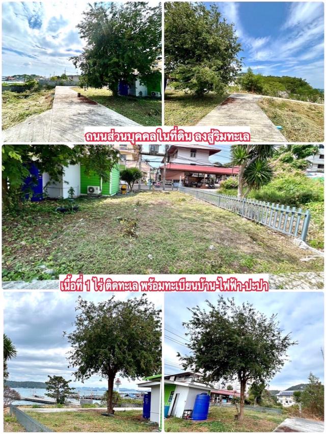 ขาย ที่ดินติดทะเล ใจกลางชุมชนหน้าเกาะสีชัง อ.เกาะสีชัง จ.ชลบุรี 6