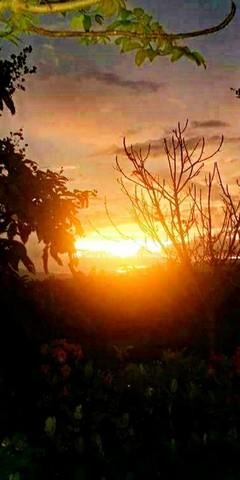 ที่ดิน ขายบ้านสวนสไตล์รีสอร์ตบาหลี แม่แตง จ.เชียงใหม่ (ติดถนนหลัก และด้านหลังติดคลองธรรมชาติ) 5-2-46 ไร่ ราคา 22 ล้าน HO 8