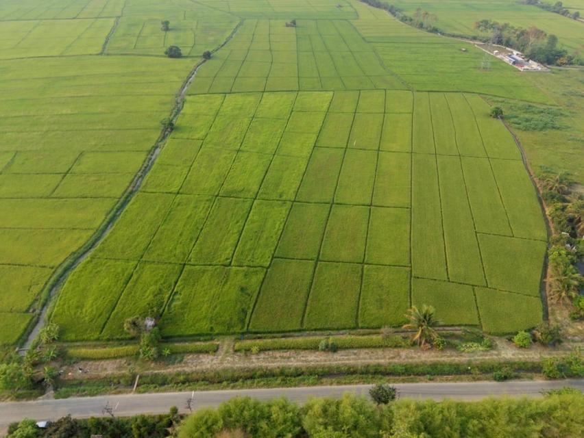 ขายที่ดินเชียงใหม่ 18-0-74 ไร่ ใกล้ทางหลวงหมายเลข 107 และเทศบาลตำบลสันโป่ง 1