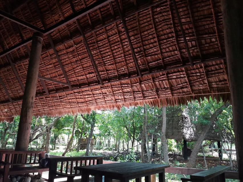 ที่ดินสวยติดแม่น้ำแม่กลอง 12