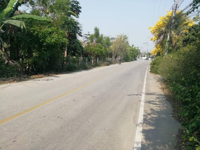 ที่ดินเปล่า 9