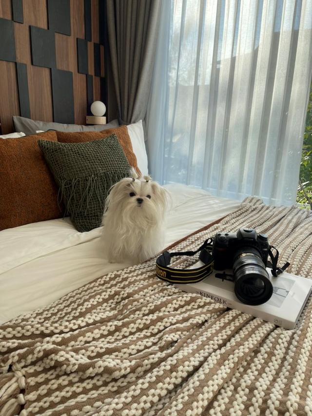 ขายดาวน์คอนโด ดิ ออริจิ้น พหลโยธิน 57 ชั้น 3 ห้องมุม เลี้ยงสัตว์ได้ ใกล้รถไฟฟ้าสายสีเขียว สถานี พหลโยธิน 59 5