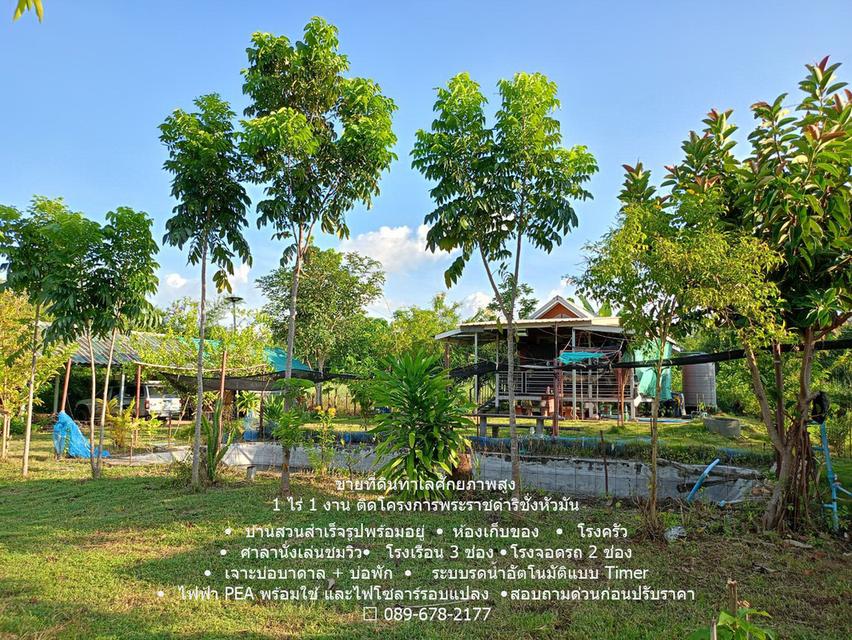 ขายด่วน! บ้านสวนบนเนิน วิวเขาพาโนรามา ติดโครงการชั่งหัวมัน (โฉนดครุฑแดง) 4