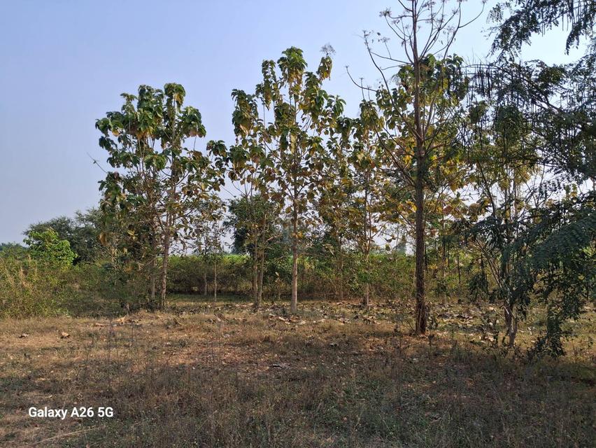 ที่ดิน อ.จอมบึง จ.ราชบุรี  พท  1.5 ไร่ ( 4 กม จากราชภัฏจอมบึง ) 2