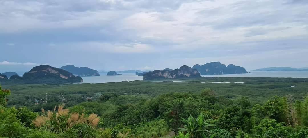 ขายที่ดิน ที่ดินแบ่งขายได้ ขายที่ดินใกล้เสม็ดนางชี จ.พังงา วิวอ่าวพังงาแบบ 360 องศา วิวสวยมากๆ อยู่ ต.คลองเคียน อ.ตะกั่วทุ่ง จ.พังงา  4