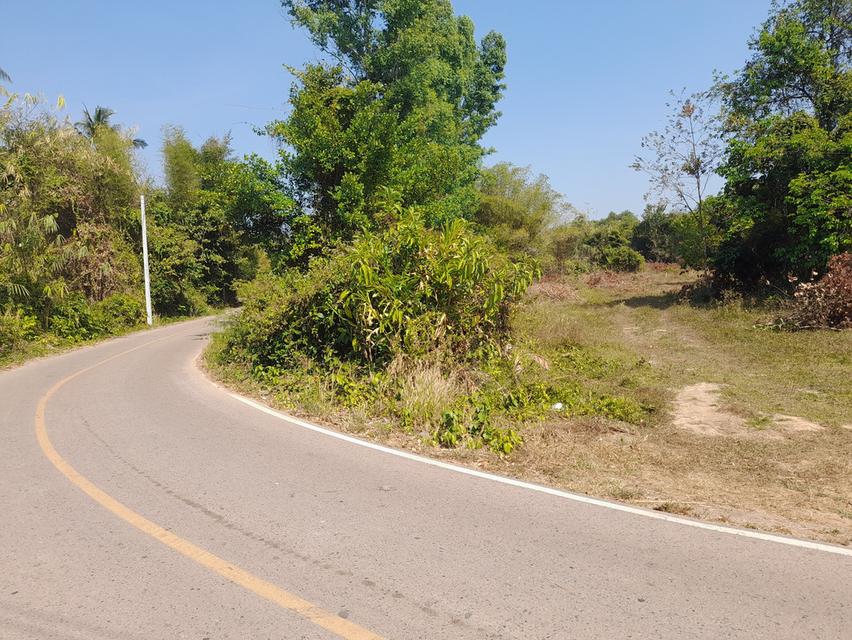 ขายที่ดินบ้านพระ 1 ไร่ ติดถนนลาดยาง ใกล้ถ.สุวรรณศร33ตัดใหม่-2.3กม. อ.เมืองปราจีนบุรี