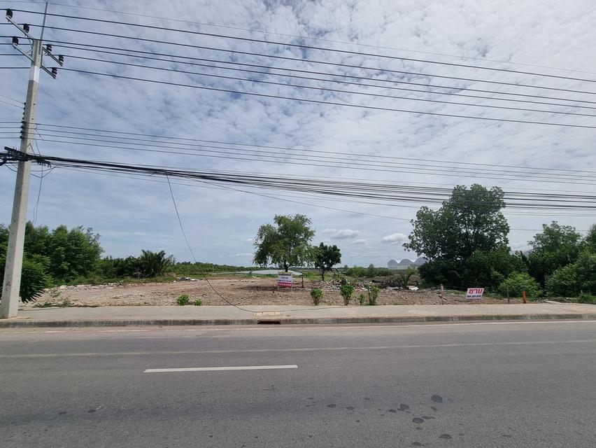 ขายที่ดินมหาชัย120ไร่ 10