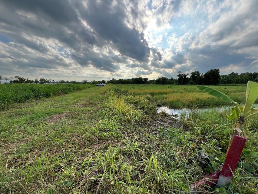 ขายที่ดินบึงบา 2 ไร่(แบ่งขายได้) คลอง10 ซอยการไฟฟ้าหนองเสือ จ.ปทุมธานี 3