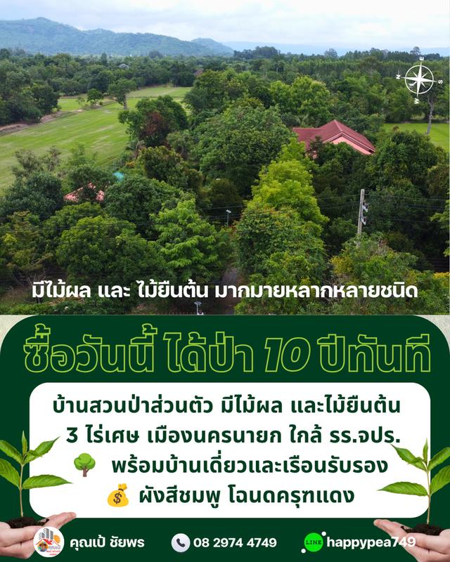🌳 ที่ดินเมืองนครนายก พรหมณี 3 ไร่เศษ พร้อมบ้านสวนป่าส่วนตัวผังสีชมพู ใกล้ รร.จปร. 10