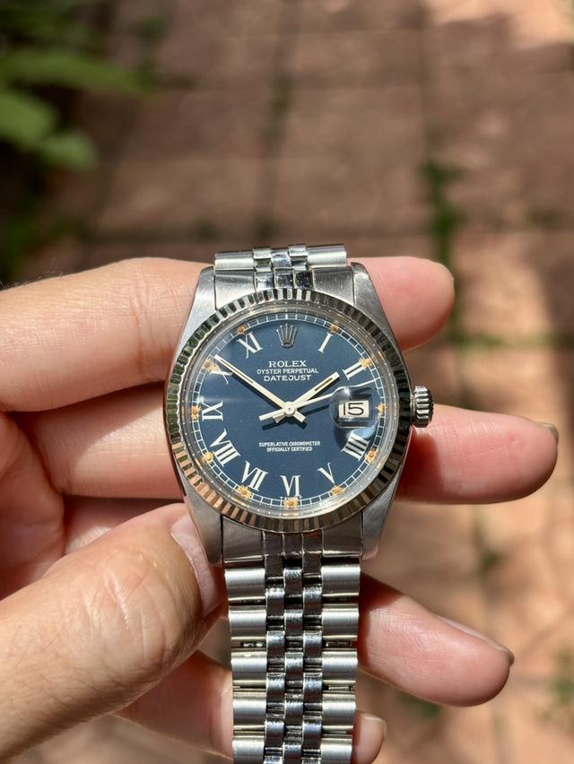 Rolex Datejust 16014 36mm Blue Buckley Dial Watch only