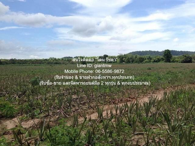 ที่ดิน ขายที่ดินไร่สัปปะรดแปลงใหญ่ ติดถนนสุขุมวิท (ทางหลวงหมายเลข 3) และติดคลอง 16-2-2 ไร่ (6,602 ตร.ว.) ราคา 4 ล้านบาท/ 6
