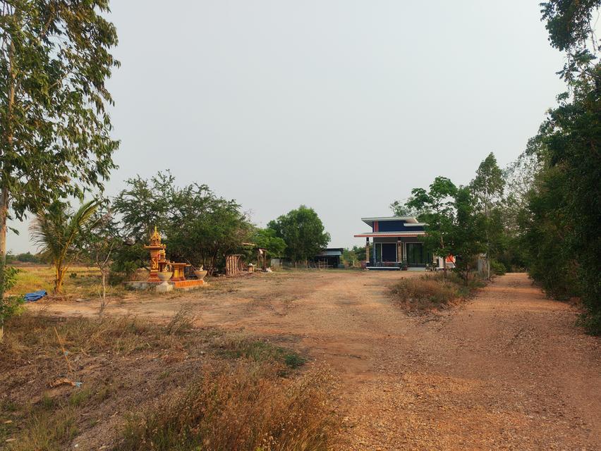 ​🏠 [ประกาศขาย] บ้านสวนโมเดิร์น พร้อมที่ดินผืนใหญ่ 11 ไร่เศษ 🌳 ​สัมผัสชีวิตใกล้ชิดธรรมชาติ บนพื้นที่ส่วนตัวที่ตอบโจทย์ทุกการใช้ชีวิต 🍃 8
