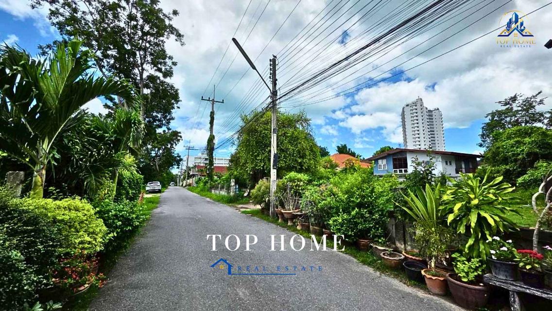 🏝️ ขายที่ดินเปล่า ทำเลดีมาก ใกล้หาดสุขเสมอ ชะอำ จ.เพชรบุรี 6