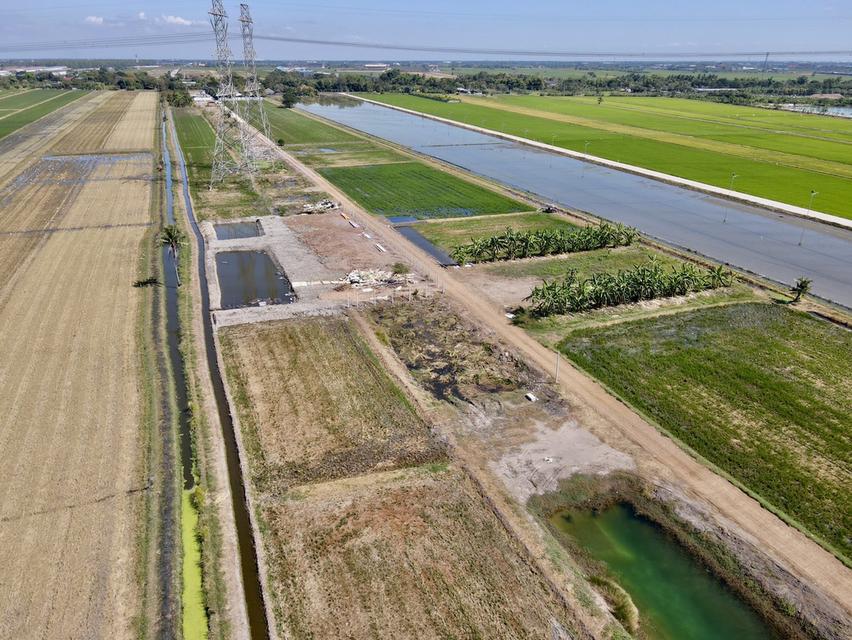 ที่ดินคลอง 8 ลำลูกกา ปทุมธานี เนื้อที่ 1 ไร่ 9