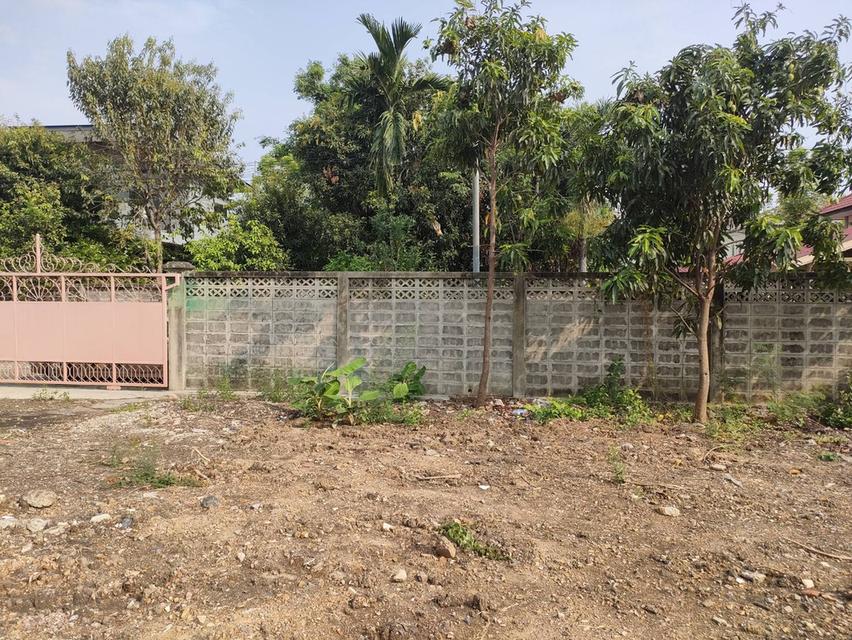 ให้เช่าที่ดินเปล่าถมแล้วในถนนมัยลาภ กรุงเทพมหานคร 5