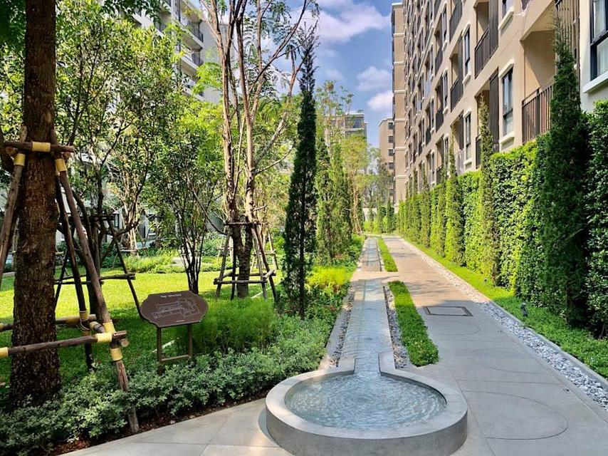 ให้เช่า Condo La Casita Hua Hin ใกล้หาดหัวหิน ขนาด 27 ตารางเมตร 1 ห้องนอน ชั้น4 ทิศเหนือ ตึกD ตกแต่งครบพร้อมอยู่ 10