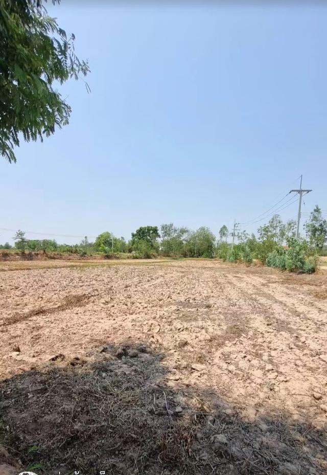 ขายที่ดินบ้านแดงใหญ่ ขอนแก่น 2