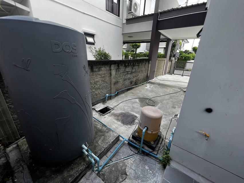 Atoll Java Bay : เอโทล จาวา เบย์ กิ่งแก้ว 19 16