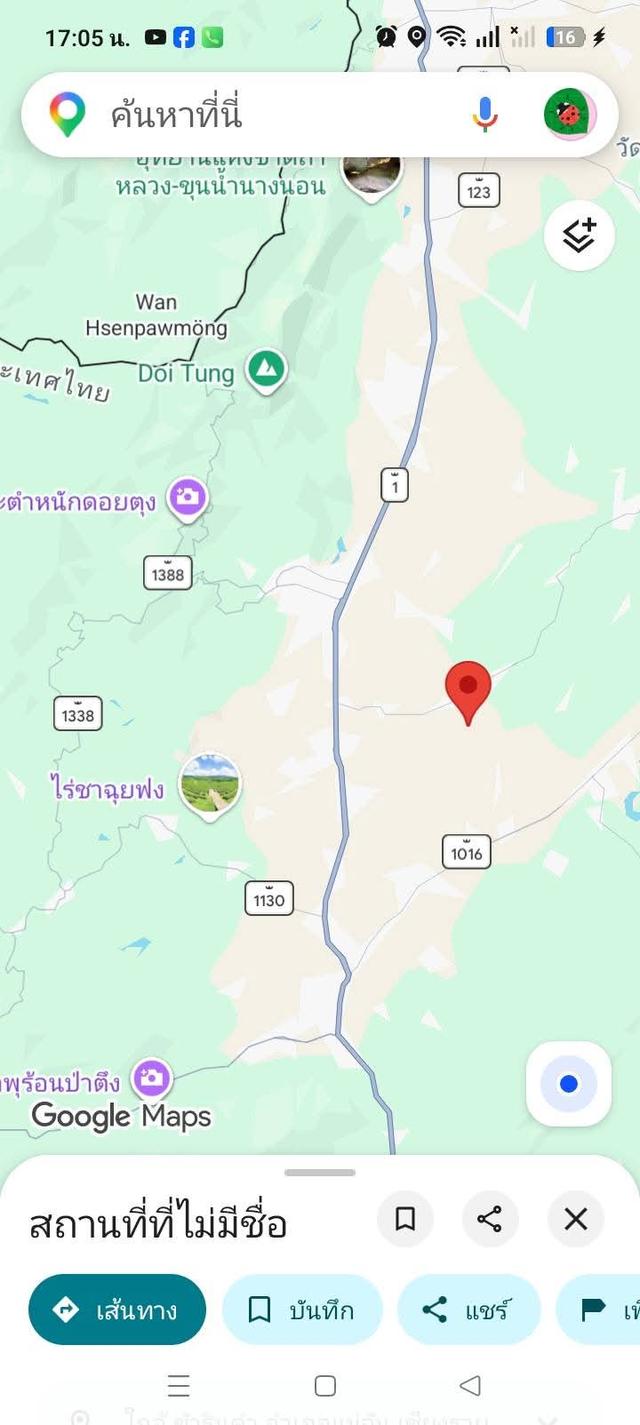 ที่ดิน 3 ไร่อำเภอแม่จันจังหวัดเชียงราย 12