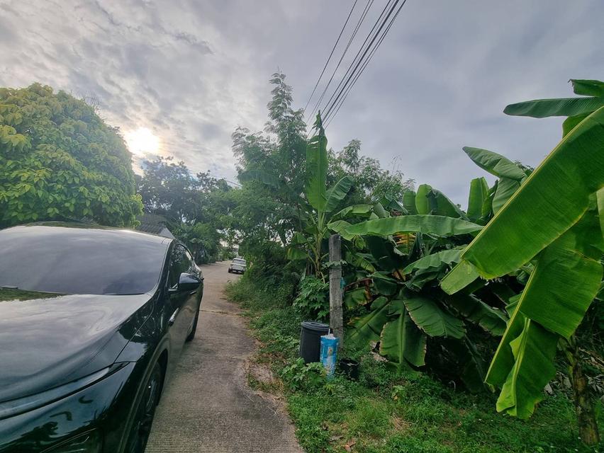 ที่ดินคลอง11 รังสิตนครนายก หมู่บ้านนริศรา 70ตรว. 8