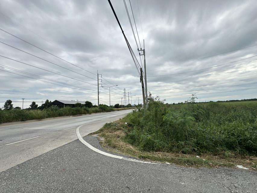 ขายที่ดินเปล่า เนื้อที่ 55-3-36 ไร่ ถนนศุขประยูร ตำบลหนองตีนนก อำเภอบ้านโพธิ์ จังหวัดฉะเชิงเทรา 10