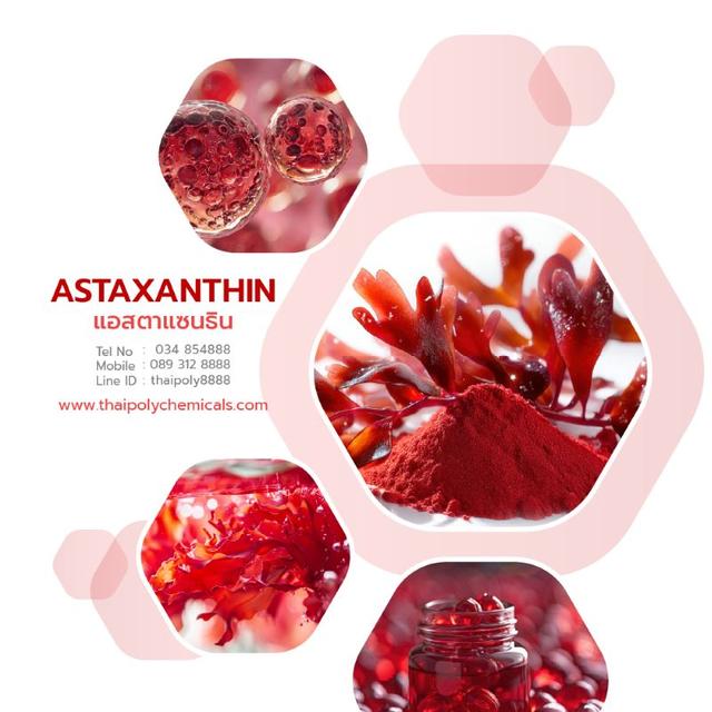 แอสตาแซนติน, Astaxanthin, ฮีมาโตคอคคัสพลูวิเอลิส, Haematococcus pluvialis, สารสกัดสาหร่ายแดง, 2.5%CWD