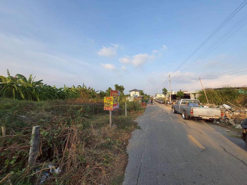ขายด่วนที่ดิน 50 ตรว ติดถนนสาธารณะ ถมแล้ว ซ.คลองสี่ ตอ.14/1 คลองหลวง ปทุมธานี 2