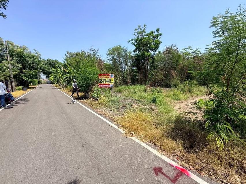 ขายด่วนทีดิน 200 ตารางวา ติดถนนลาดยาง 9 ต.บ้านใหม่ อ.บางใหญ่ จ.นนทบุรี 1