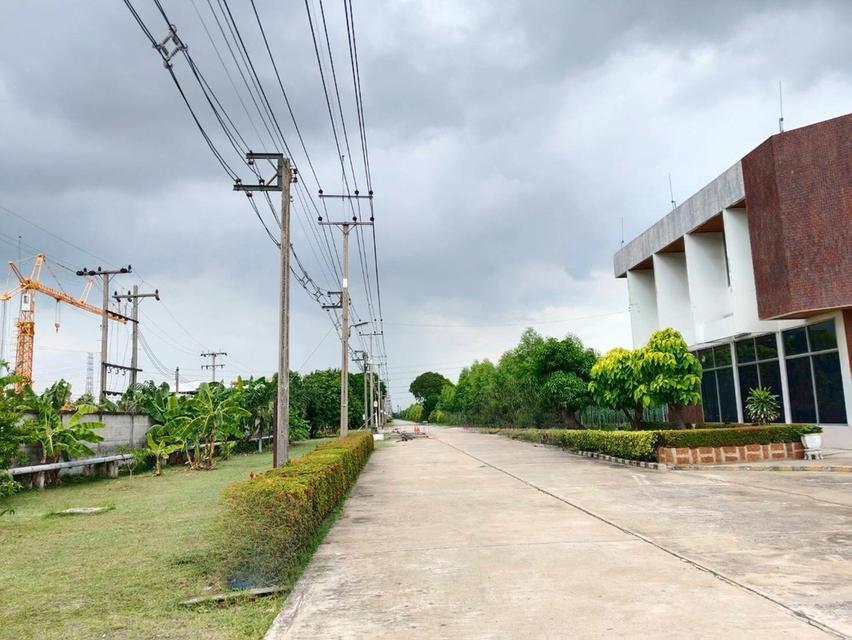 ขายที่ดินผังสีม่วง ถนนพหลโยธิน นวนคร พื้นที่ 110-3-35 ไร่ ต.คลองหนึ่ง อ.คลองหลวง จ.ปทุมธานี 14