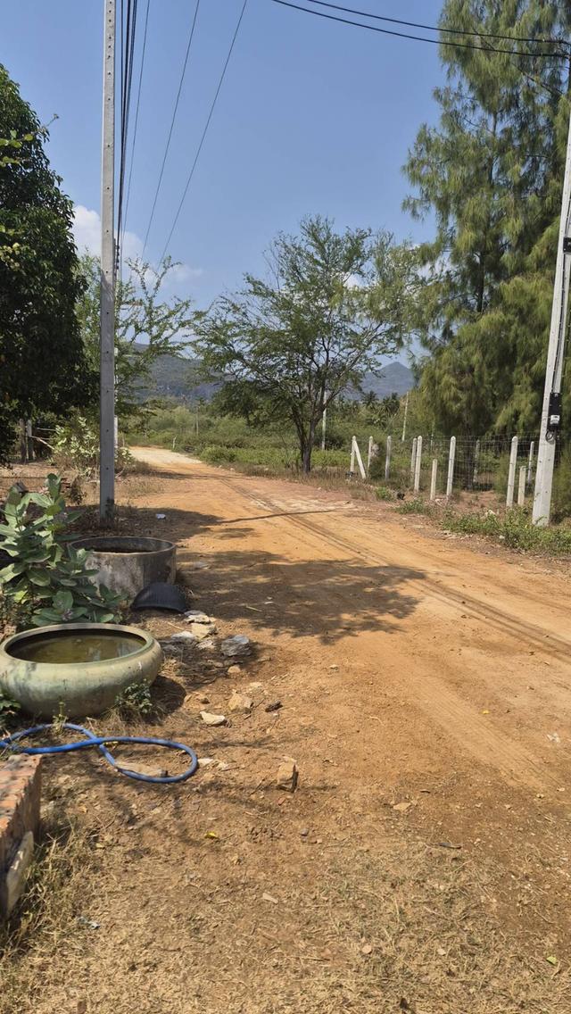 ที่ดินสามร้อยยอด ปราณบุรี 6