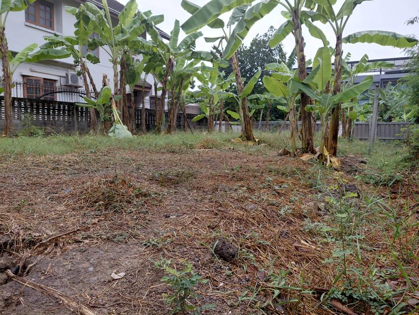ที่ดิน 51 ตร.ว. บรมราชชนนี 74 เขตทวีวัฒนา กรุงเทพฯ 8