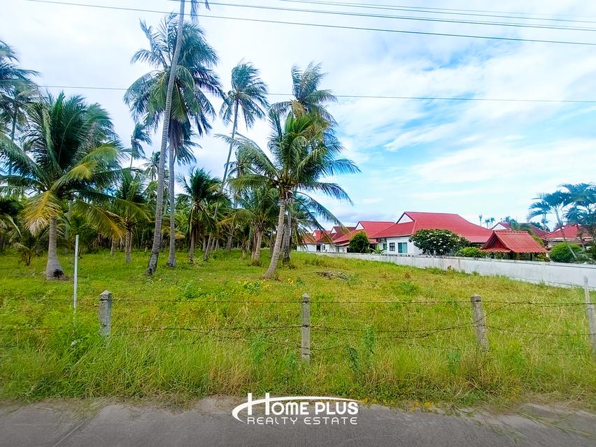 🌳 ขายที่ดิน 2 ไร่ ใกล้สถานีรถไฟห้วยยาง ทับสะแก 5