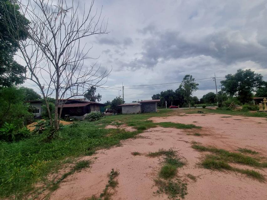 ที่ดินเปล่า,อสังหาริมทรัพย์ 6