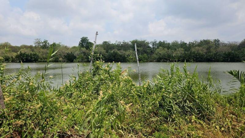 ขายที่ดิน สำหรับสร้างโรงงาน ในคลองบางปลากด อ.พระสมุทรเจดีย์ จ.สมุทรปราการ 14 ไร่เศษ  ตรว ล่ะ 18500 ที่ดินเจ้าของขายเองราคา ต่อรองได้ สนใจสอบถามได้ครับ 12