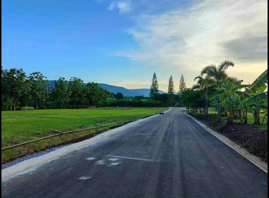 ขายที่ดินวิวอุทยานแห่งชาติเขาใหญ่ 1-2 ไร่ อ.หมูสี ปากช่อง บ้านเลือดไทย เหมาะทำบ้านพัก รีสอร์ท ใกล้ถนน เขาใหญ่-วังน้ำเขียว 3052 เพียง 900ม.