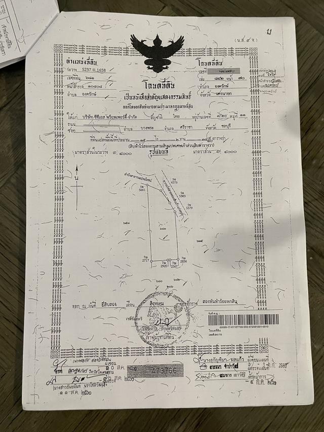 ขายที่ดิน หลัง มศว องครักษ์ นครนายก 11