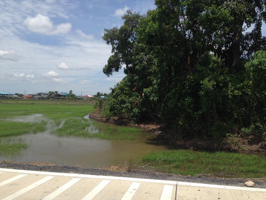 ที่ดิน ลำลูกกาคลอง 6 ปทุมธานี 7