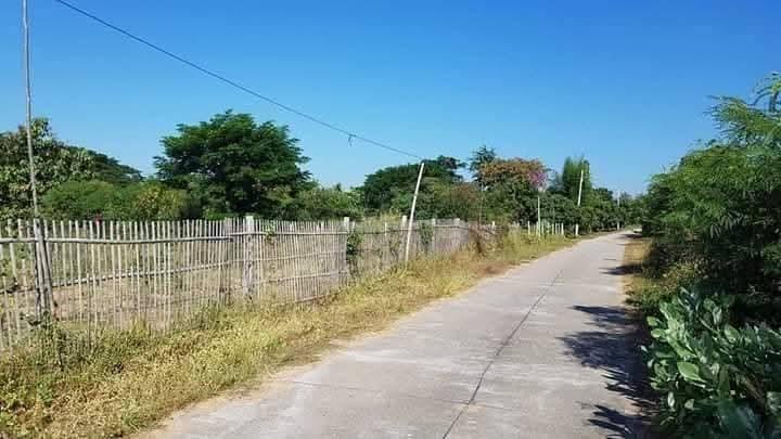 ขายที่ดินสวย หน้ากว้าง 5 ไร่ 34 ตร.ว. โฉนด ถูก!ถูก!  ใกล้โรงเรียนสองแคว อ.ดอยหล่อ, จ.เชียงใหม่ ถูก ถูก!  ทางขึ้นดอยอินทนนท์ ใกล้รร.สองแคววิทยาคม 1