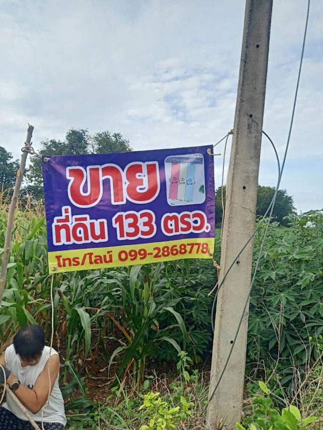 ที่ดิน ขนาด 133 ตรว. วิวเขา น้ำไฟถึง ถนนหน้าแปลง มี 3 ล็อค ครุฑแดง พร้อมโอน 5